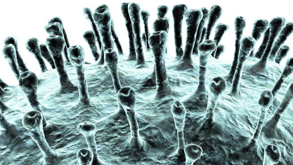 A vírus megfékezése - Mit tehet egy egészségügyi szolgáltató? - Technoliving - IQAir