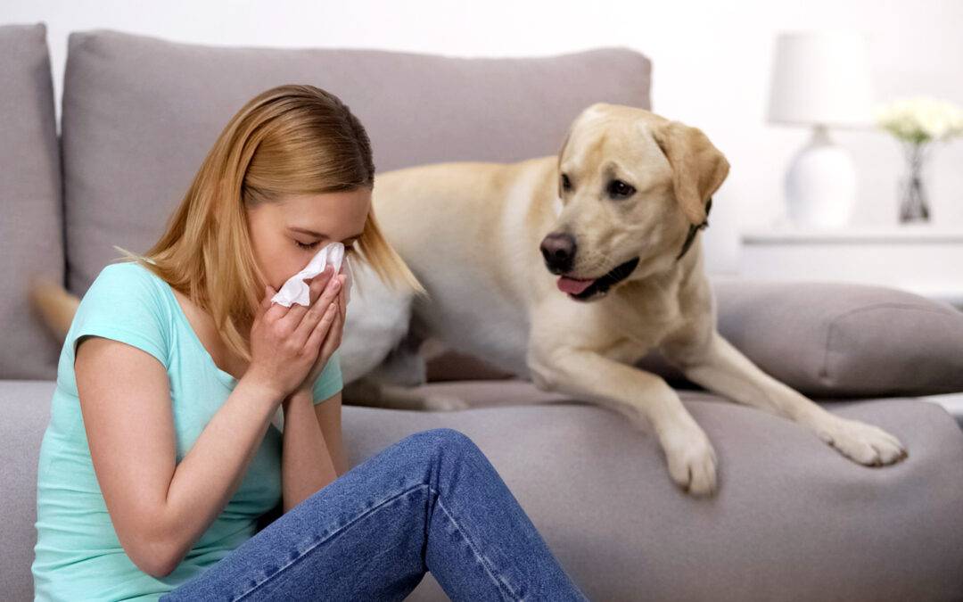 Állatszőr allergia – Amikor a kiskedvenc okozza a kellemetlen panaszokat