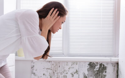 Penész a lakásban – Miért veszélyes? Hogyan védekezhetünk ellene?